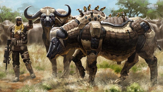 你最真实（很少吐露）的择偶标准是什么？